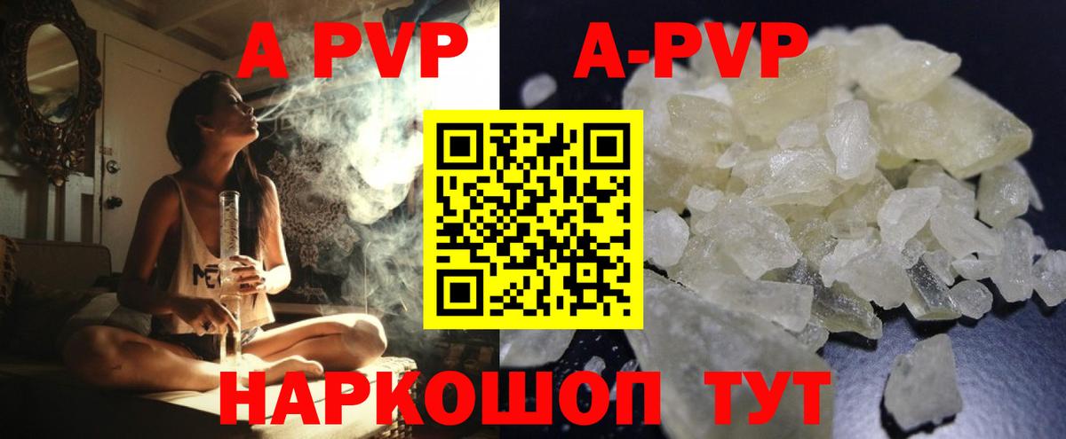 Alfa_PVP СК КРИС Сунжа
