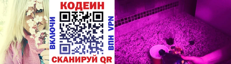 mega как войти  Сунжа  Кодеин напиток Lean (лин)  купить наркоту 