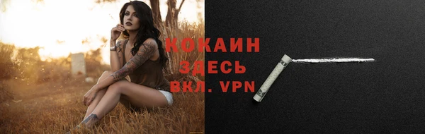 PSILOCYBIN Покров