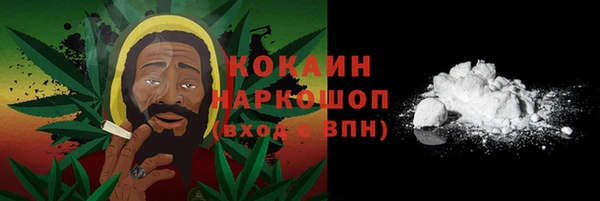 PSILOCYBIN Покров