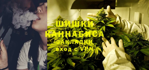 PSILOCYBIN Покров