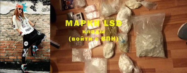 PSILOCYBIN Покров
