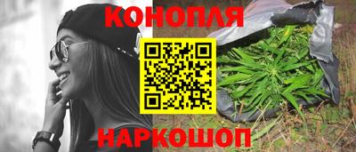 прущие грибы Пугачёв