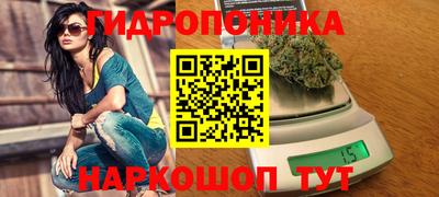 прущие грибы Пугачёв