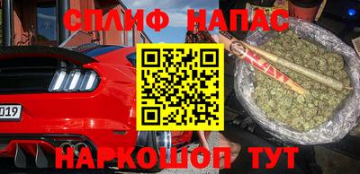 прущие грибы Пугачёв