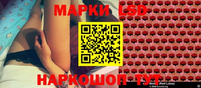 прущие грибы Пугачёв