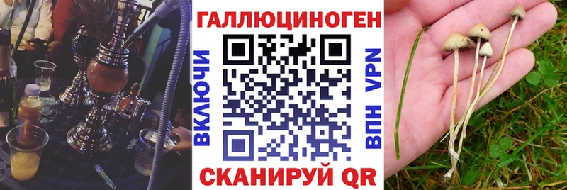 купить закладку Сунжа блэк спрут зеркало Псилоцибиновые грибы мухоморы