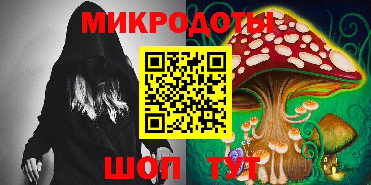 Псилоцибиновые грибы Psilocybine cubensis Сунжа